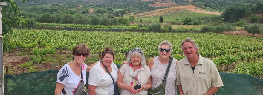 Visite privée de La Canée : dégustation de vin et découverte du village de Therisso