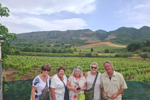 Chania Private Wine Tasting Tour & Theriso Village Visit Chania: Tour to Therisso Gorge, Village & Winery with Lunch"