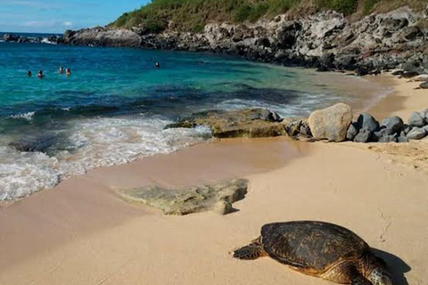 Isla Tortuga Full Day