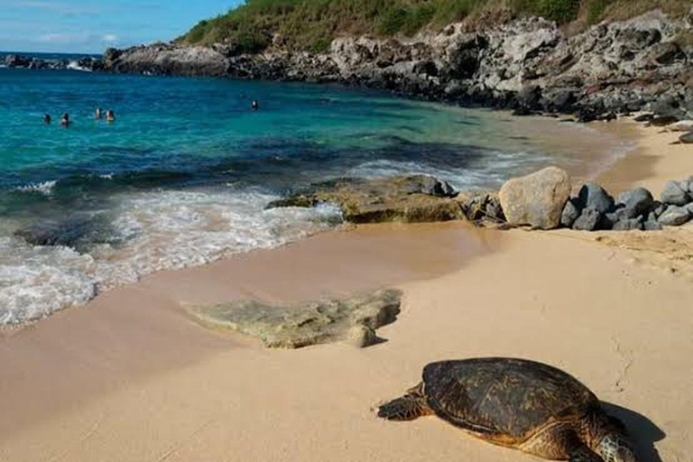 Isla Tortuga Full Day