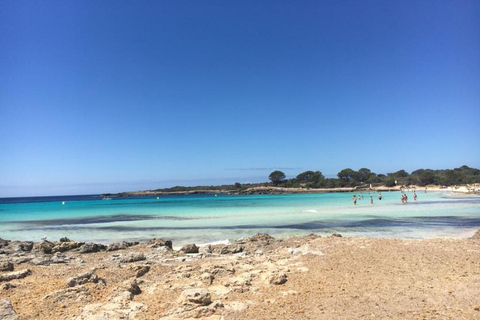 Menorca: South Coast Quad Tour with Swim Stops