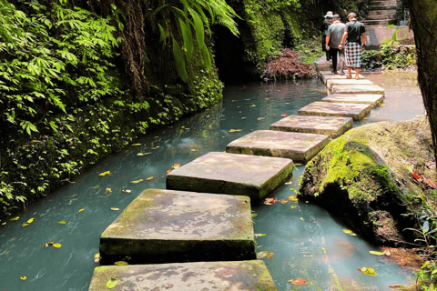 Bali: Ubud Rice Terraces, Monkey Forest & Waterfall Tour Full Package: All entry fees & lunch included