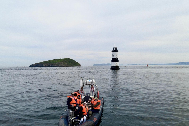Conwy: Great Orme Sea Life Voyage