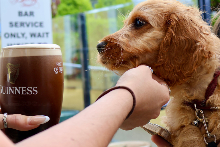 Dublin: Howth Cruise and Dine Experience