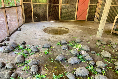 Zanzibar: Nakupenda Sandbank & Prison con Pranzo Incluso Honeymoon & Wedding Anniversary