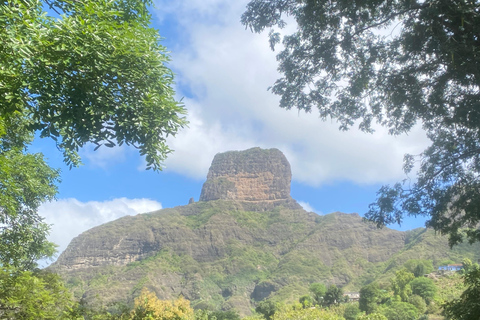 Santiago: Visit the largest banana and coconut plantation & botanical garden From the Beach: Visit a Banana and Coconut Plantation & Botanical Garden with Tastings