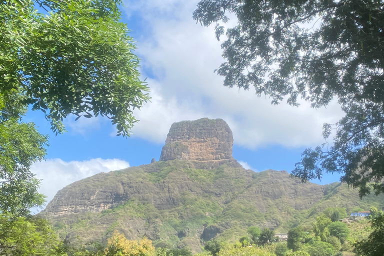 Santiago: Visit the largest banana and coconut plantation & botanical garden From the Beach: Visit a Banana and Coconut Plantation & Botanical Garden with Tastings