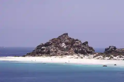 Damas or Chañaral islands: Whales & Humboldt Penguin Reserve