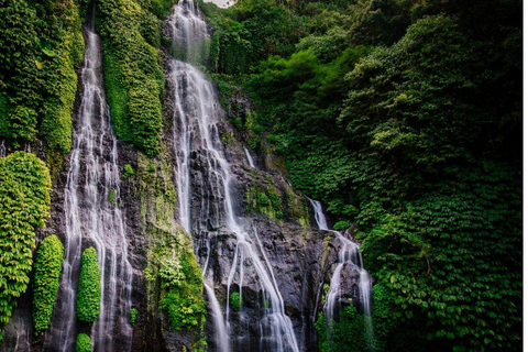 Bali: North Bali Waterfalls Private Tour with Guide