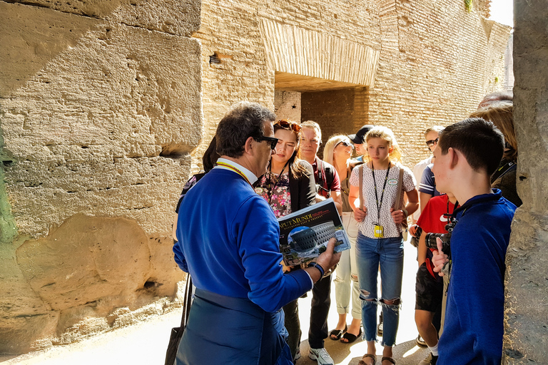 Rome: Colosseum, Roman Forum & Palatine Hill Tour Colosseum, Forum, and Palatine Hill Guided Tour in Italian