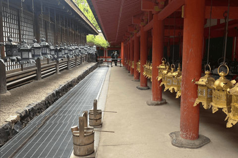 Private tour of Nara with an English/Spanish-speaking Guide