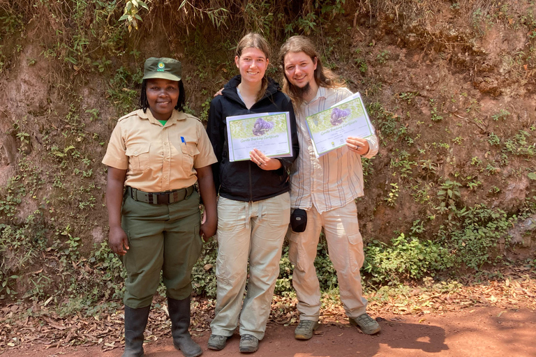 Kigali/Entebbe: 3-Day Bwindi Gorilla Trekking Tour