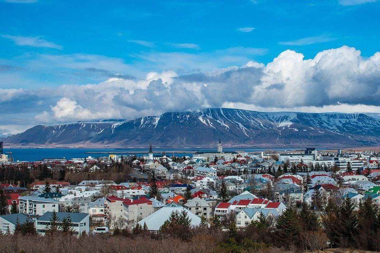 Reykjavik Private Walking Tour - Reykjavik Private Walking Tour