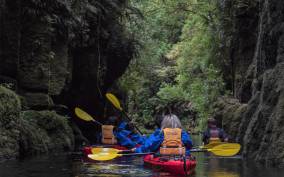 Tauranga: Daytime Scenic Lake McLaren Kayak Tour