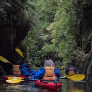 Tauranga: Daytime Scenic Lake McLaren Kayak Tour