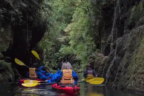 Tauranga: recorrido panorámico en kayak por el lago McLaren durante el día
