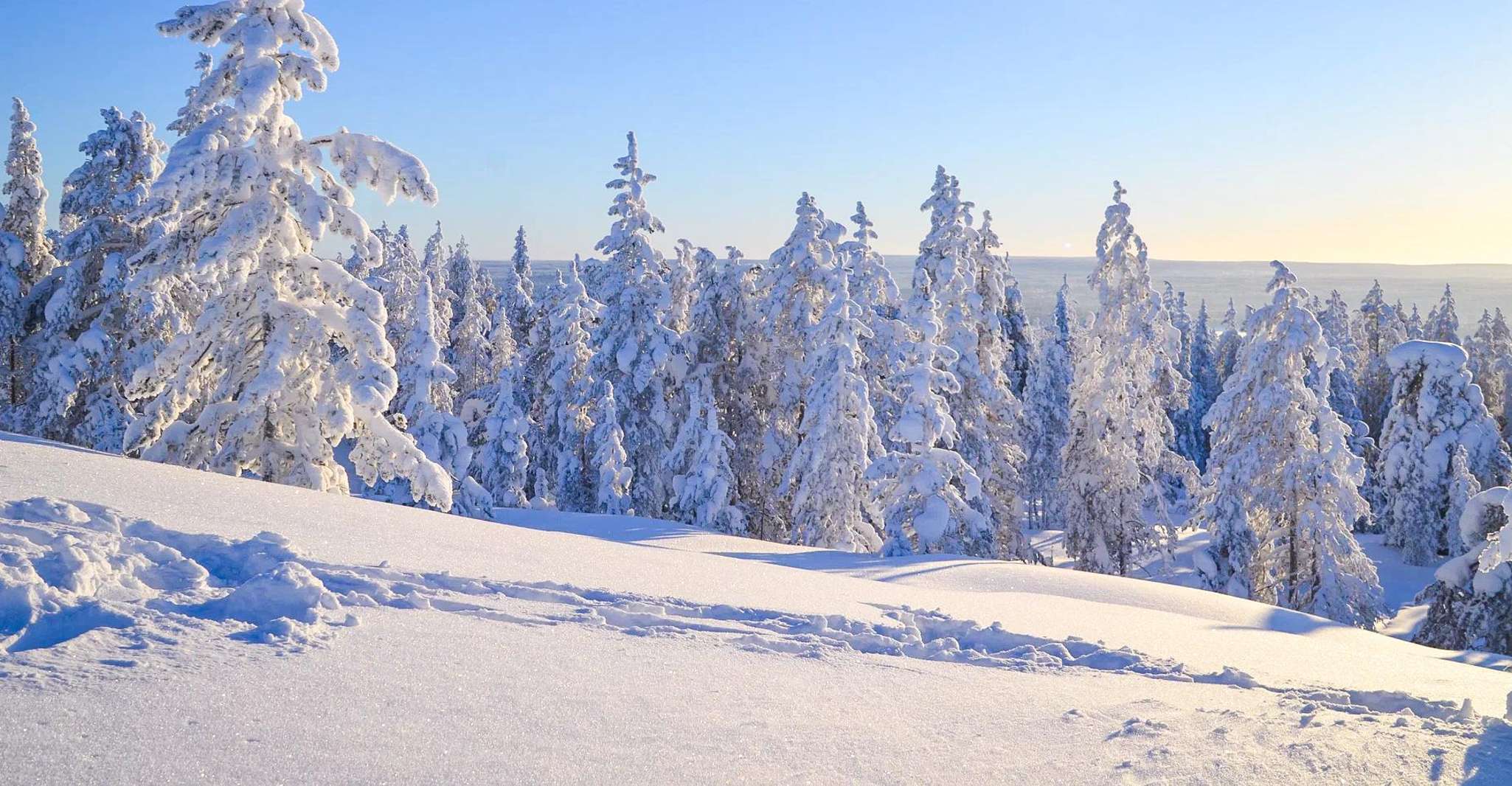 Rovaniemi, Guided Wilderness Snowmobile Ride - Housity