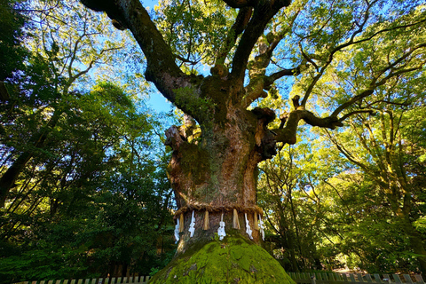 Nagoya: Wycieczka z przewodnikiem po świątyni Atsuta i muzeum mieczy