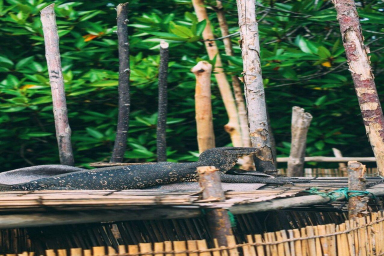 Tour di un giorno a Galle, Bentota e Madu River SafariPick up da Bentota Kalutara Kosgoda Ahungalla Balapitiya