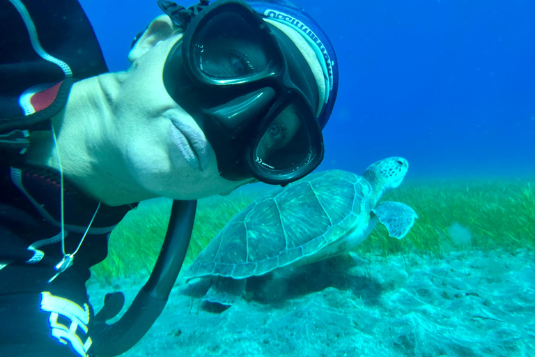 Curso de mergulho para iniciantes na área das tartarugas em TenerifeCurso de mergulho privado para iniciantes no parque natural de Tenerife