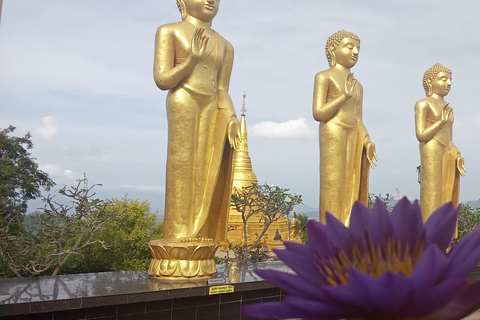 Kandy to Sigiriya Day Tour