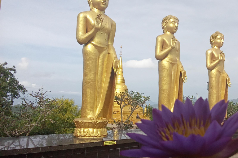 Kandy to Sigiriya Day Tour