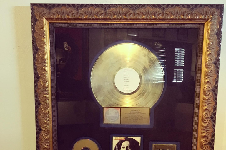 Bob Marley, Blue Hole, Secret Falls and Luminous Lagoon Tour From Montego Bay/ Falmouth/ Trelawny