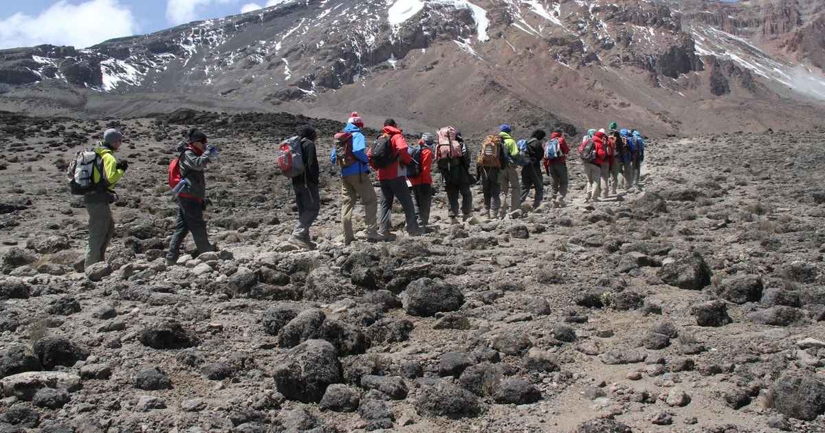 Escalada de 7 días al Kilimanjaro - Ruta Rongai | GetYourGuide