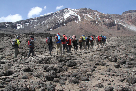 7 jours d&#039;ascension du Kilimandjaro par la route Machame