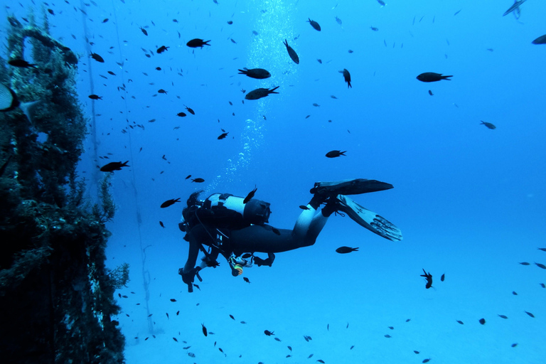 Malta: 2 Scuba Fun Dives for Certified divers