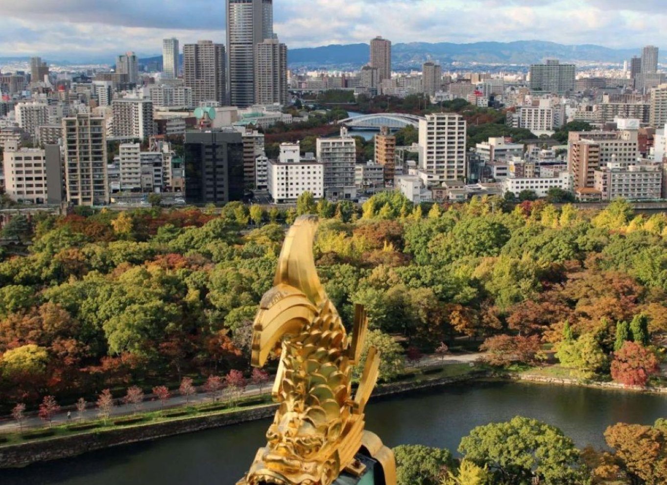 Osaka: Entré til slotstårnet / guidet byvandring