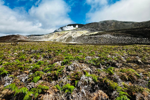 Isabela Island Hiking Tour to Sulfur Fumaroles | Half Day