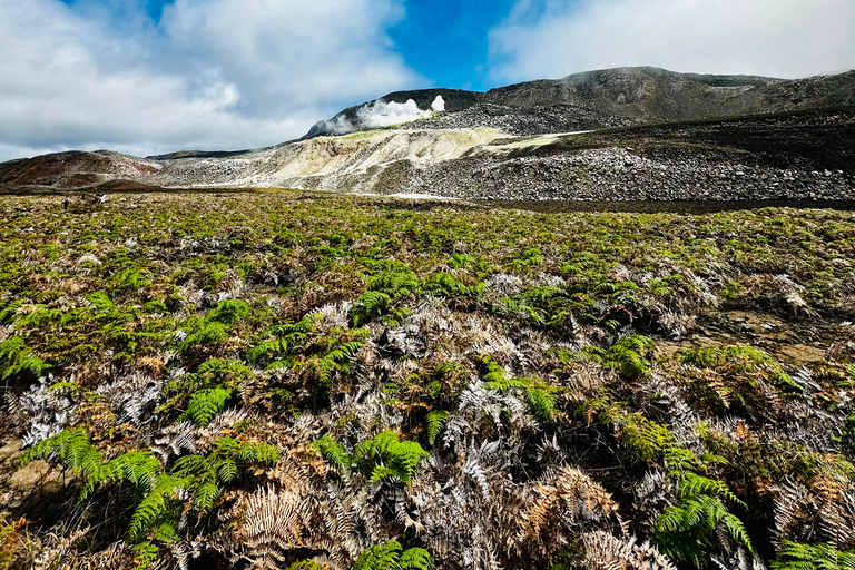 Isabela Island Hiking Tour to Sulfur Fumaroles | Half Day