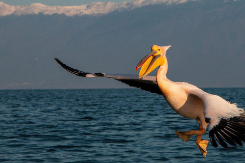From Sofia: Lake Kerkini, Greece Nature & Culture Day Tour