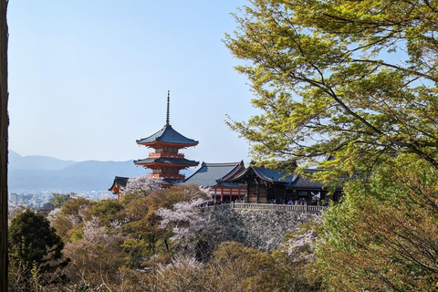 Tour privato di 8 ore intorno a Kyoto con guida in spagnolo