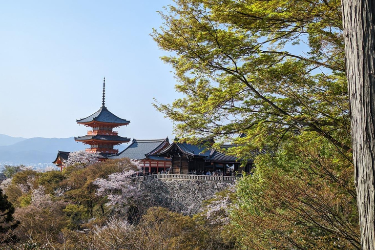 Visite privée de 8 heures autour de Kyoto avec guide espagnol