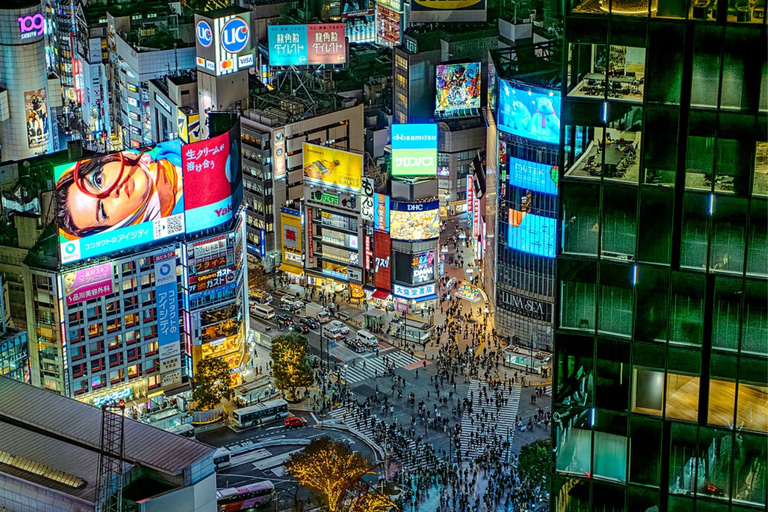 Tokyo: Private Luxury Day Tour with Hotel Pickup and DropOff