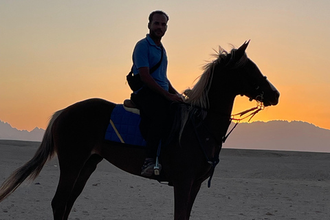 Soma Bay: Reittour mit HoteltransferSoma Bay: Reittour ohne Hoteltransfer