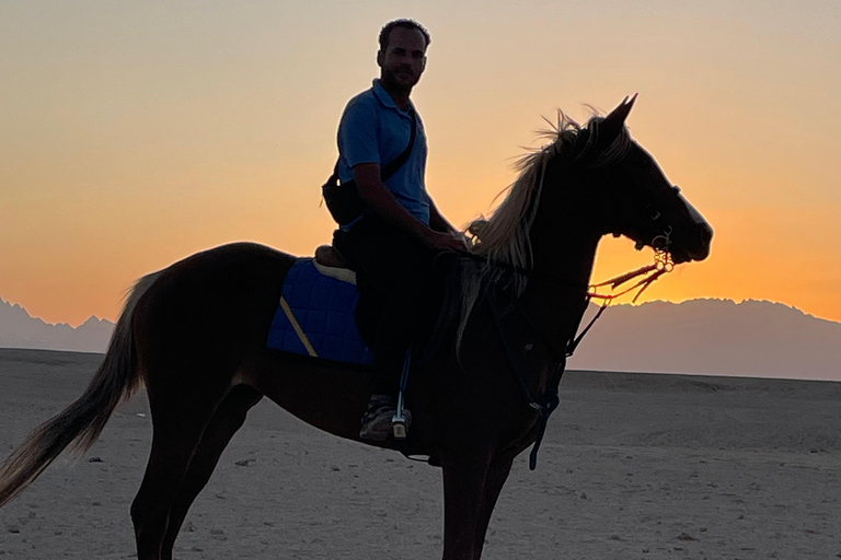 Soma Bay: Reittour mit HoteltransferSoma Bay: Reittour ohne Hoteltransfer