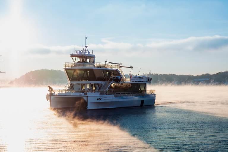 Oslo: Afternoon Tea Cruise met klassieke live muziek