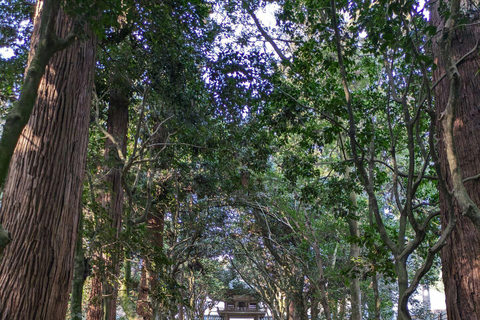 Von Kanazawa aus: Die atemberaubenden Klippen, die Insel und der Hafen von Fukui