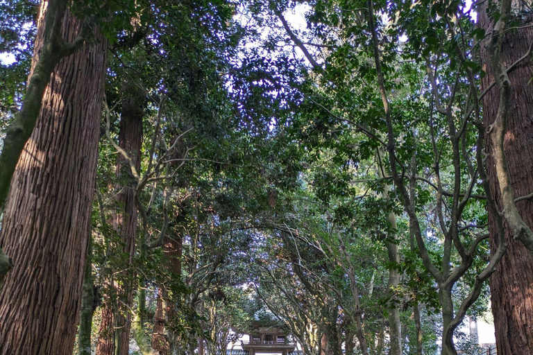 Von Kanazawa aus: Die atemberaubenden Klippen, die Insel und der Hafen von Fukui