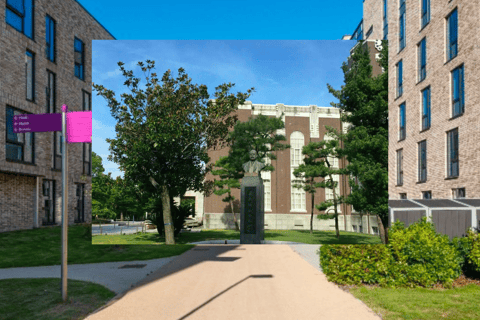 Kyoto: Kyoto University Guided Walking Tour