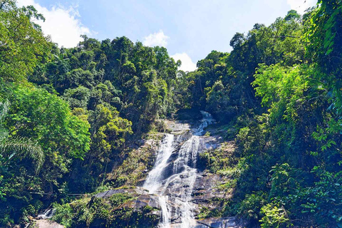 Rio Waterval en Grotten Circuit: Tijuca Bos Tour