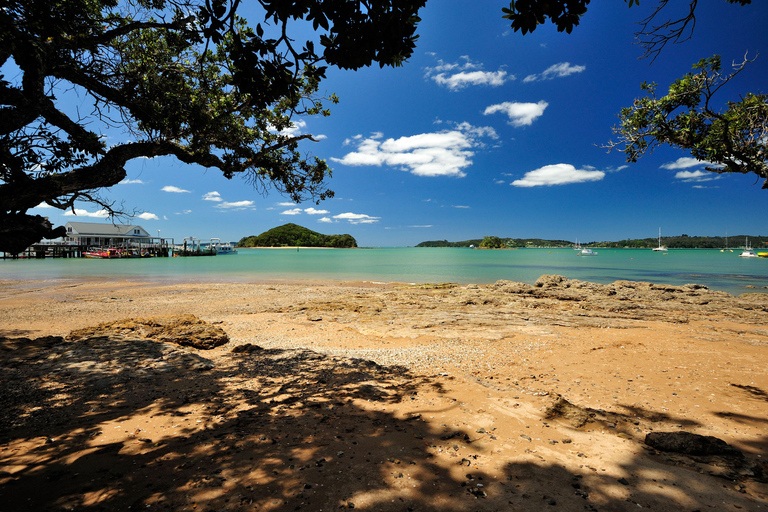 Bay of Islands: Half-Day Scenic Tour with Ferry Crossing