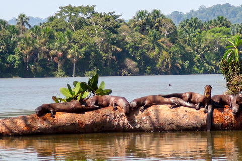 From Puerto Maldonado: 2 Days Sandoval Lake -Into the Jungle