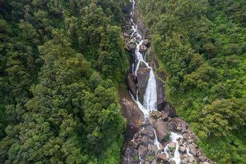 From Queenstown: Scenic One-Way Tour to Franz Josef - Image 2