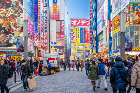 Tokio: Prywatna jednodniowa wycieczka z kierowcą