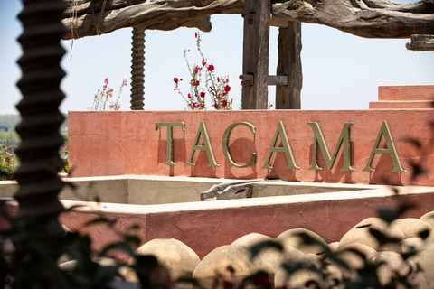 Exclusive: Hacienda Tacama from Lima + Paracas + Ica