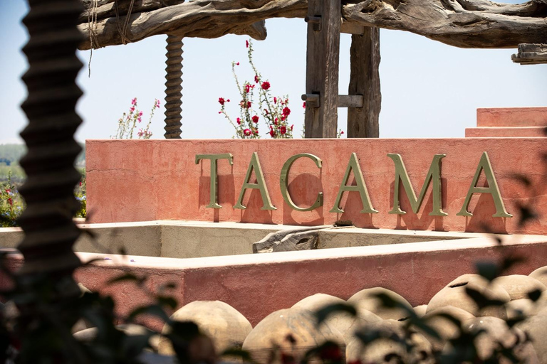 Exclusive: Hacienda Tacama from Lima + Paracas + Ica